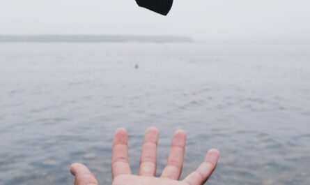 person throwing black stone on water