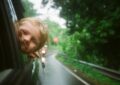 child peeking from vehicle window